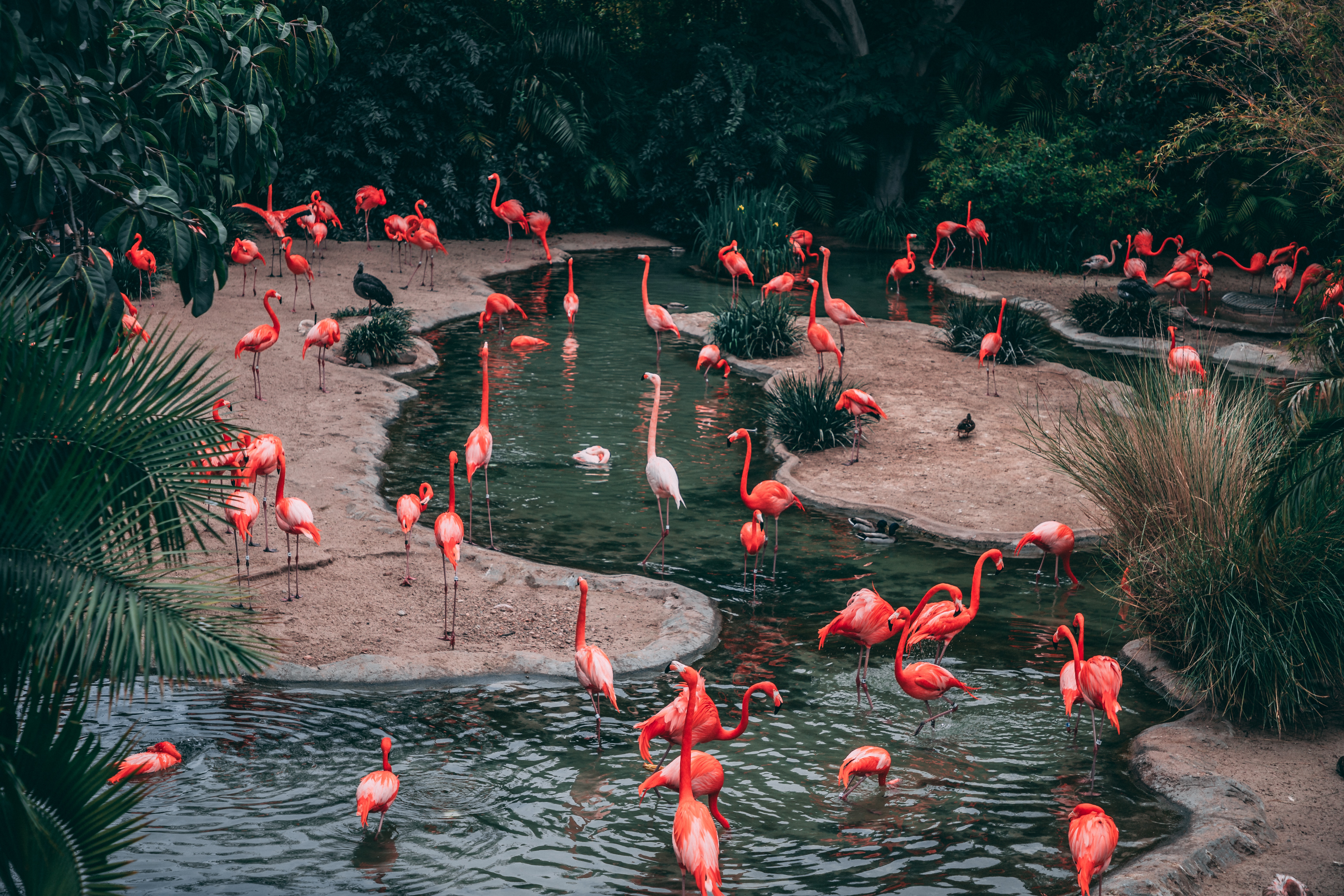 matthew-cabret-ub1sSvJ_Tbs-unsplash