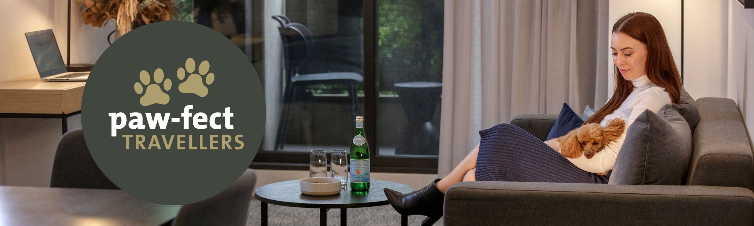 pet friendly accommodation - quest apartment hotels - 4 pet friendly accommodation - quest apartment hotels - 4